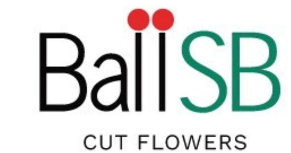 Ball SB.png