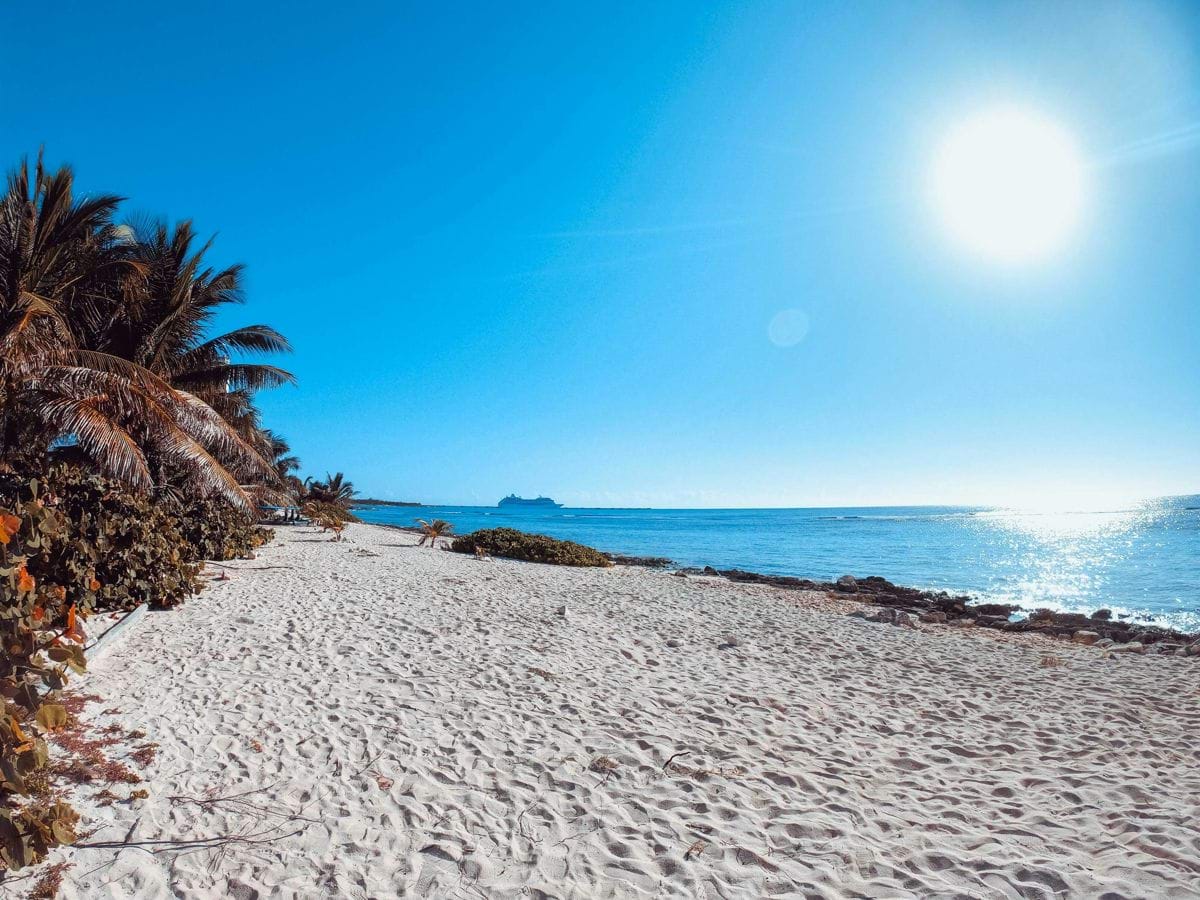 green palm tree on white sand beach during daytime
