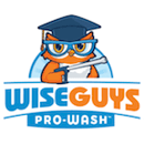 WiseGuys Pro-Wash career site