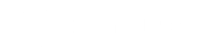 Connect 981 logo