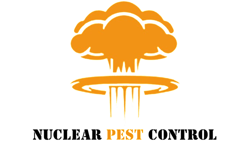 Pest Control Solutions Specialist image