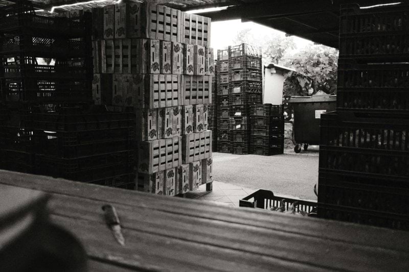 Warehouse Operations and Logistics Manager image