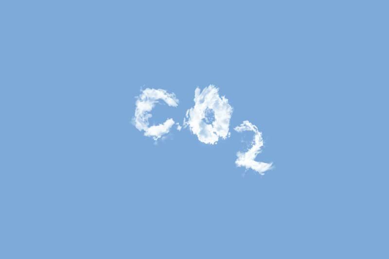 🌱 Gerente Senior de Proyectos y Certificación de Carbono image