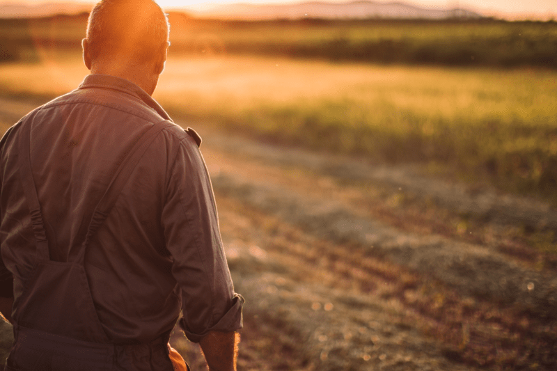 👨‍🌾 Administrador de Campo | Nogales, Cerezos y Uva de Mesa en Codegua image