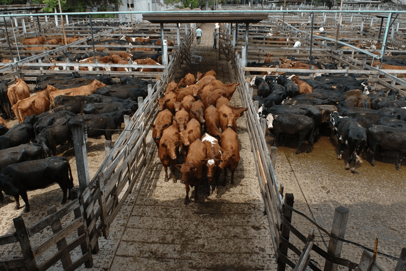 Comercial de Hacienda image