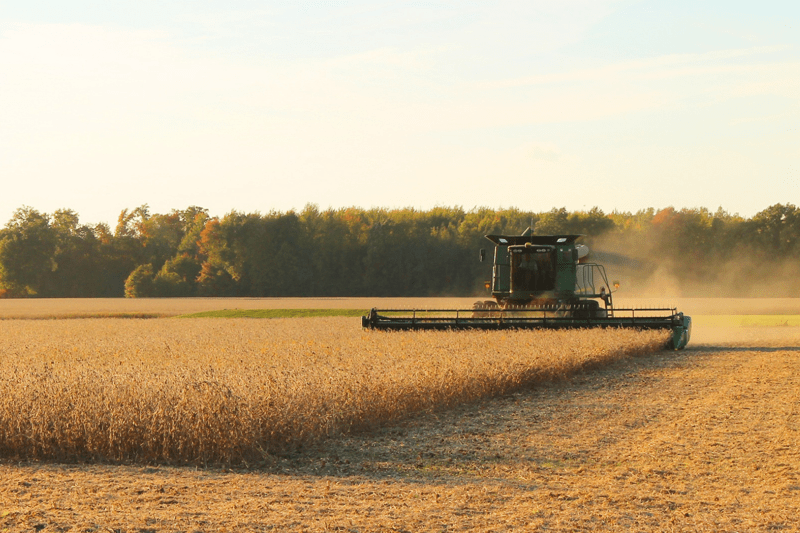 Técnico Agropecuario image