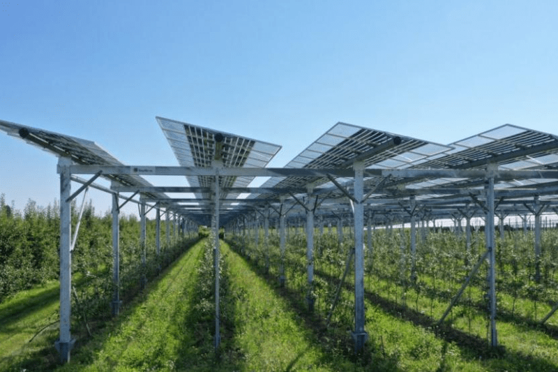 ☀️ Gestor/a Comercial · Zona VI · Energía Solar con foco Agroindustrial image