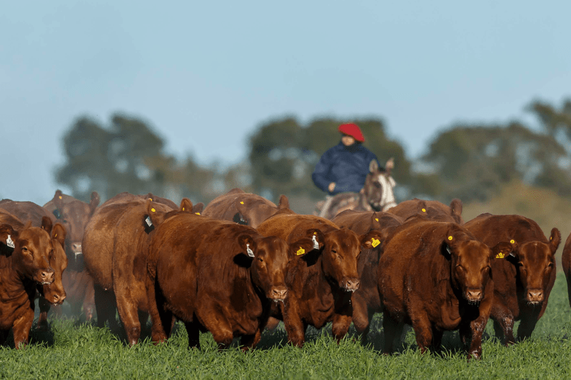 Representante Comercial de Hacienda image