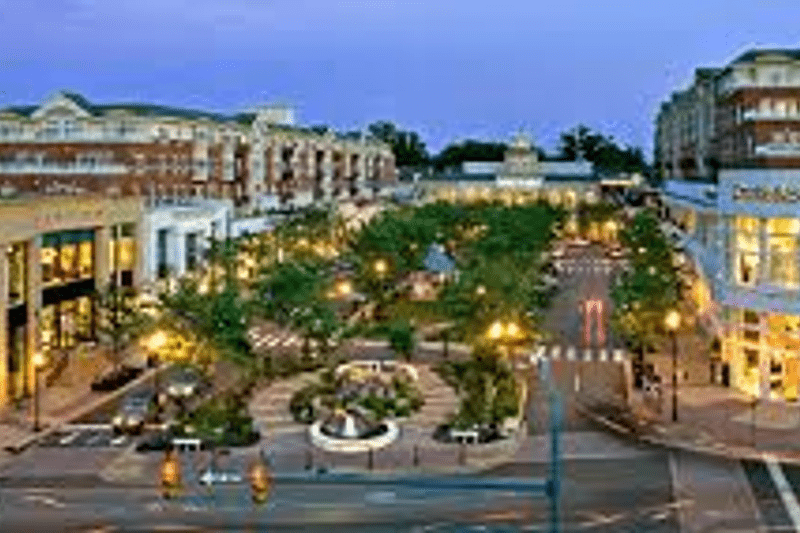 Executive Director image