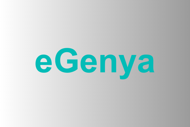 Sales Manager – eGenya image