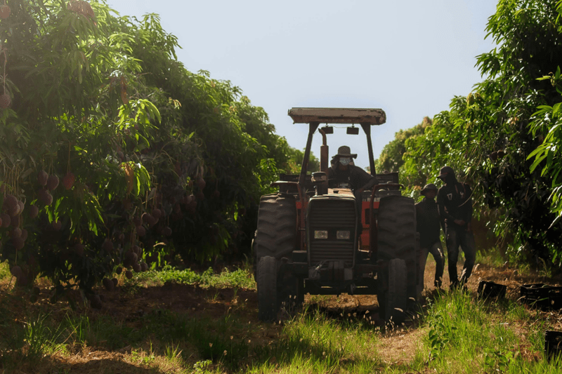 👨‍🌾 Administrador de Campo | Proyecto con Visión y Autonomía image