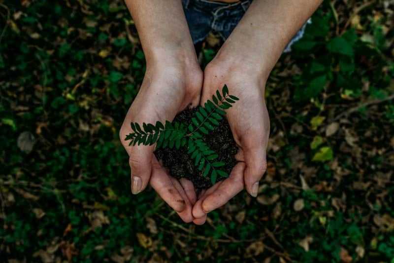 Gerente de Programas en Cambio Climático, WASH y CEED image