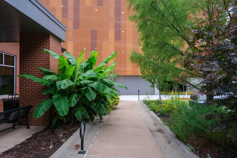 Director of Operations – Public Grounds & Landscaping image