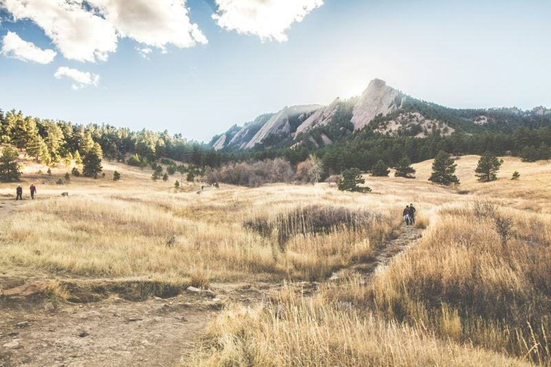 Colorado Mental Health Therapist image