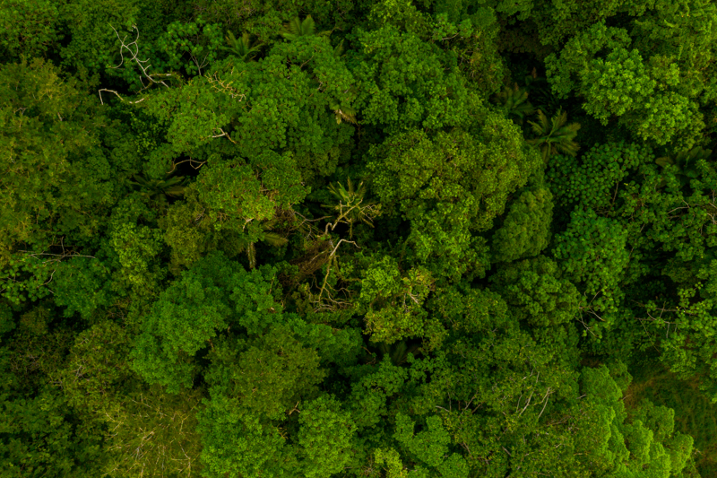 Especialista Legal Ambiental image