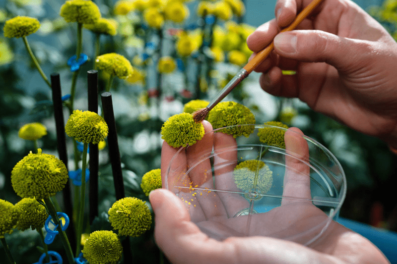 Especialista de ensayos image