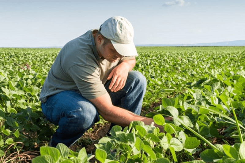 Gerente de Producción image