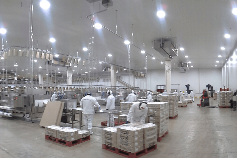 🔧 Gerente de Planta | Operaciones, Liderazgo y Expansión Productiva – Rengo image