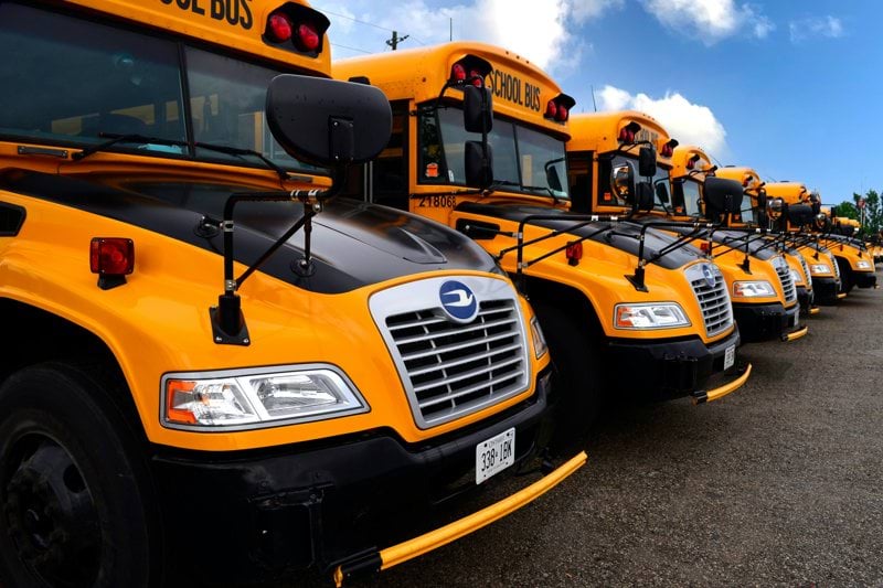 yellow school bus on road during daytime