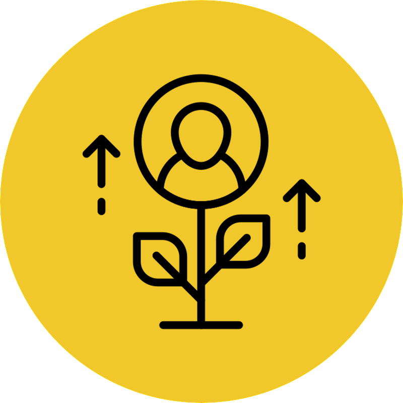 desarrollo profesional