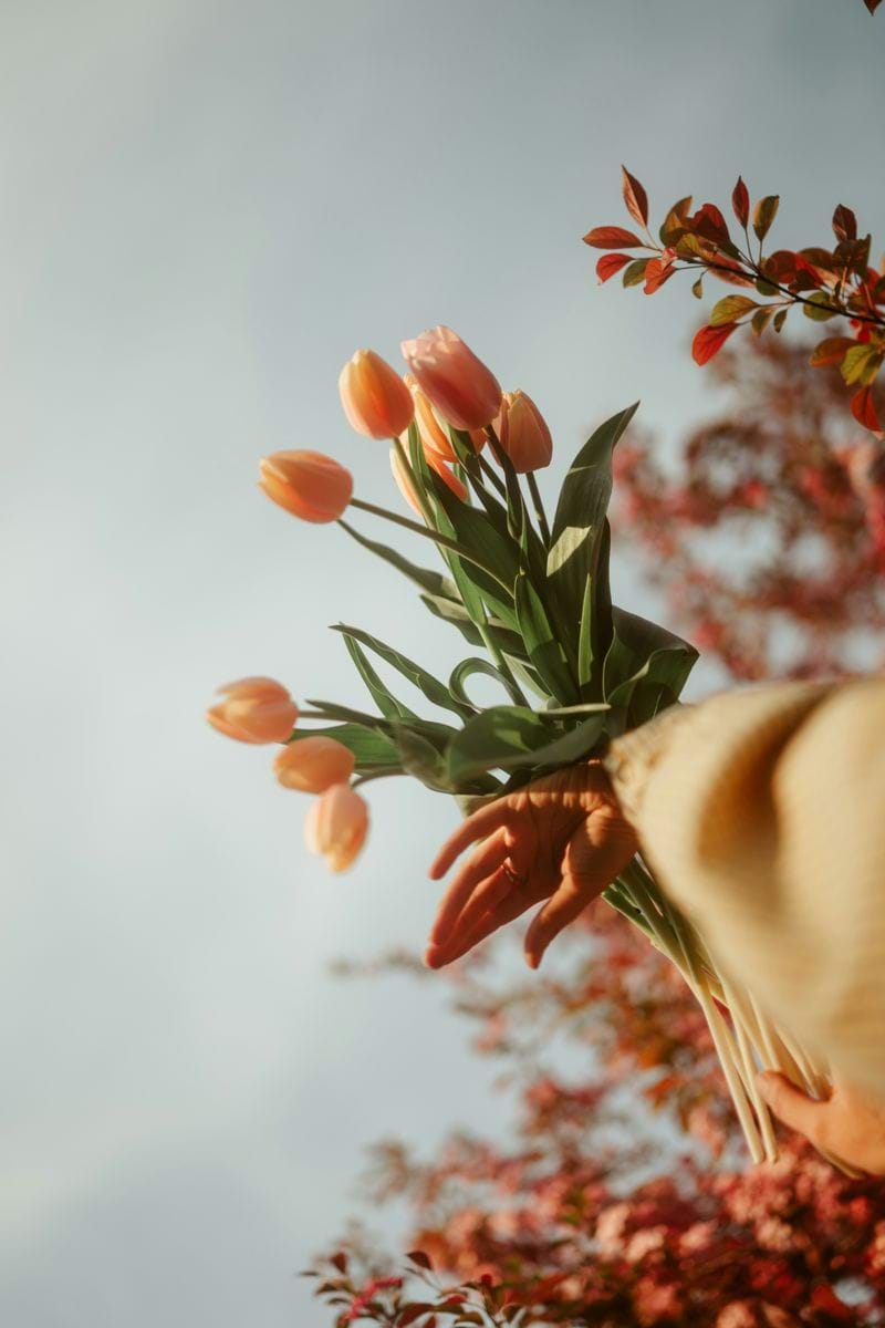 Person holds a bouquet of orange tulips.