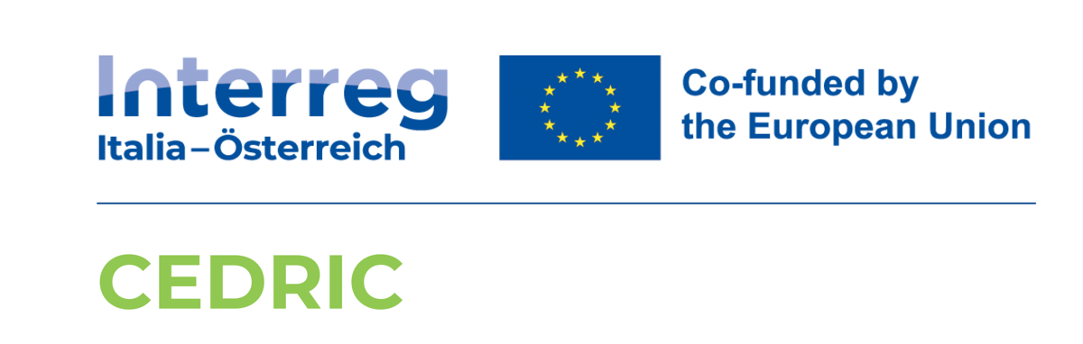 Logo cedric down (1).jpg