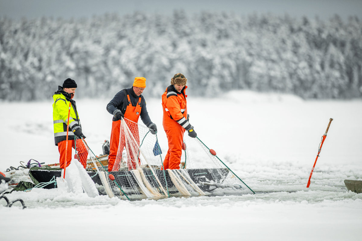 Talvinuotta_Pihlajavesi_Niko Ovaska_full jpg-43.jpg