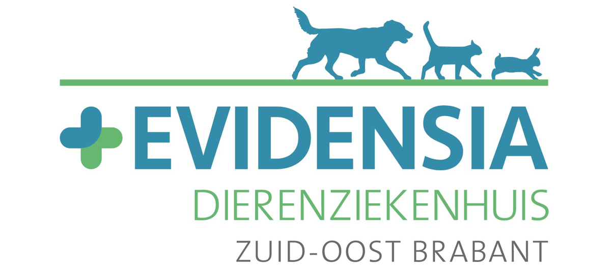 Logo_DZH_Zuid-Oost_Brabant_RGB_FHD_kleine rand.jpg