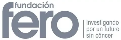 OIP.webp