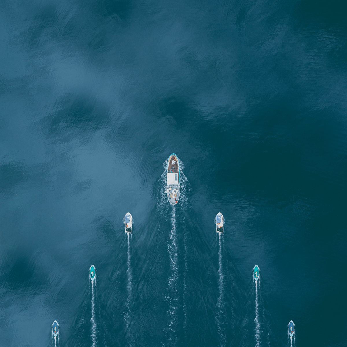 Havtrygd_24.jpg