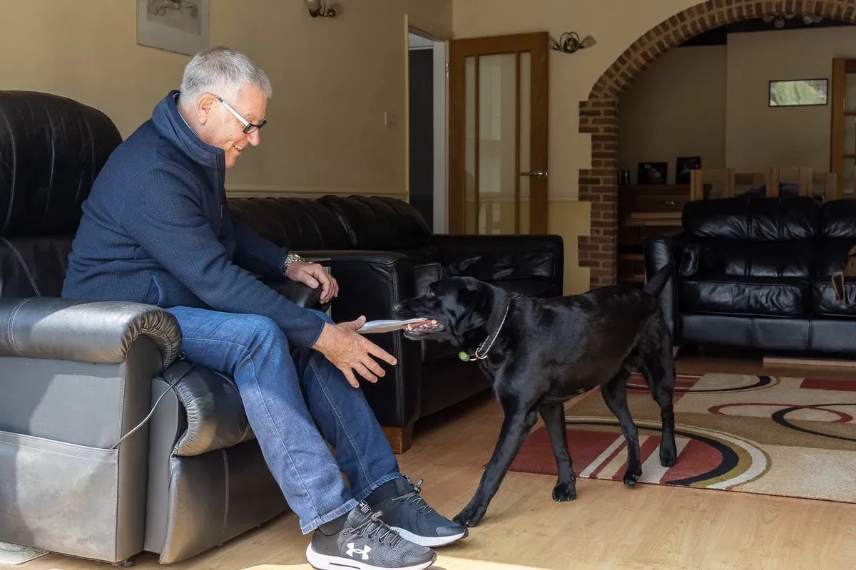 Black labrador bringing papers to man who is sitting on sofa in living room