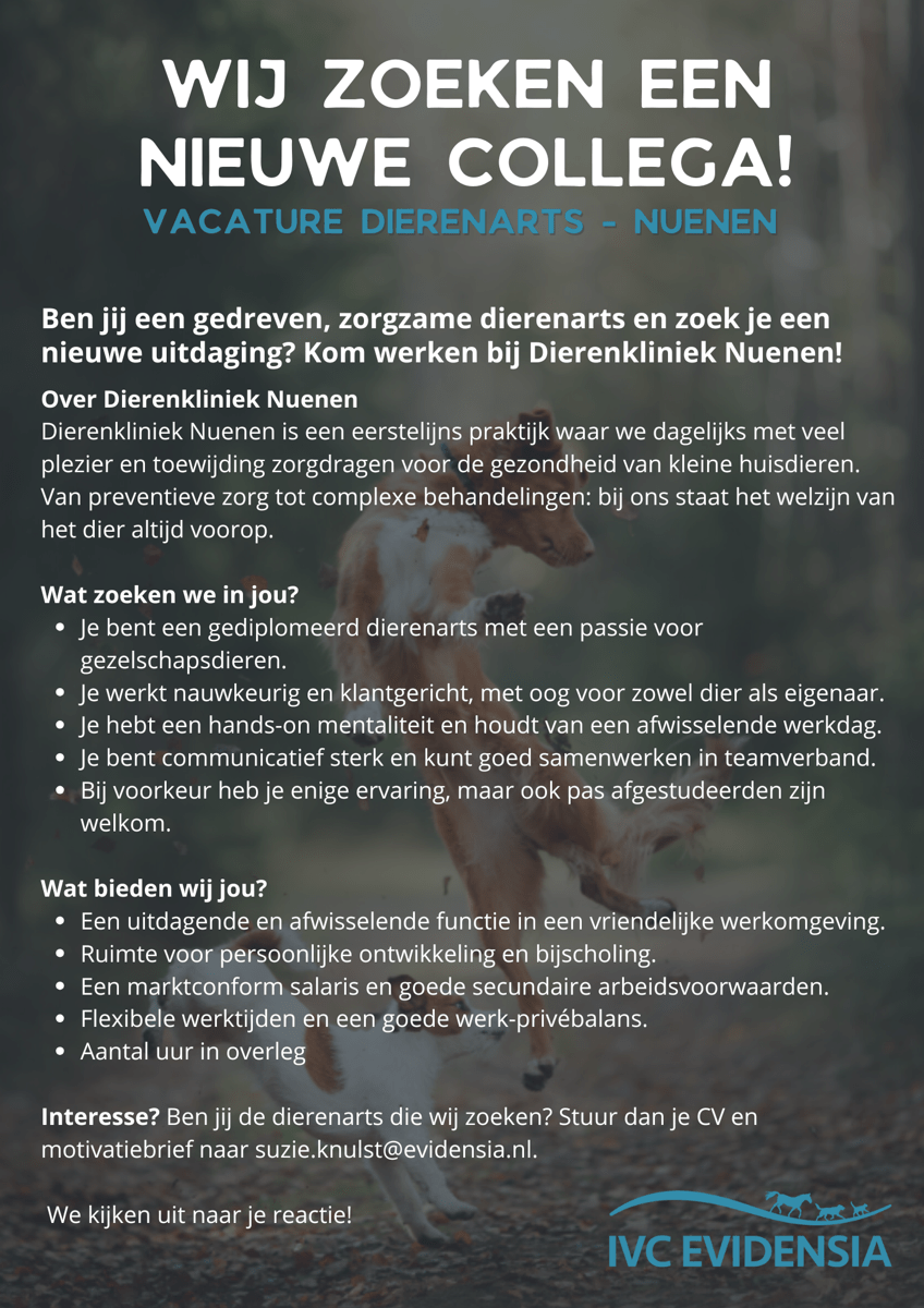 Vacature dierenarts - Nuenen.png