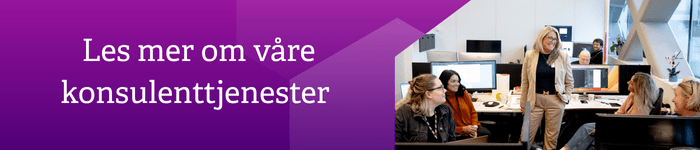 Konsulenttjenester2.png