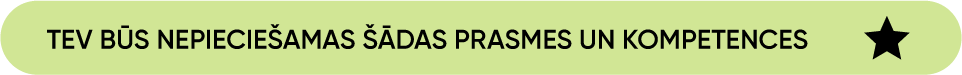 ZVN-12262-TeamTailorICN-07.06.2023-16.png