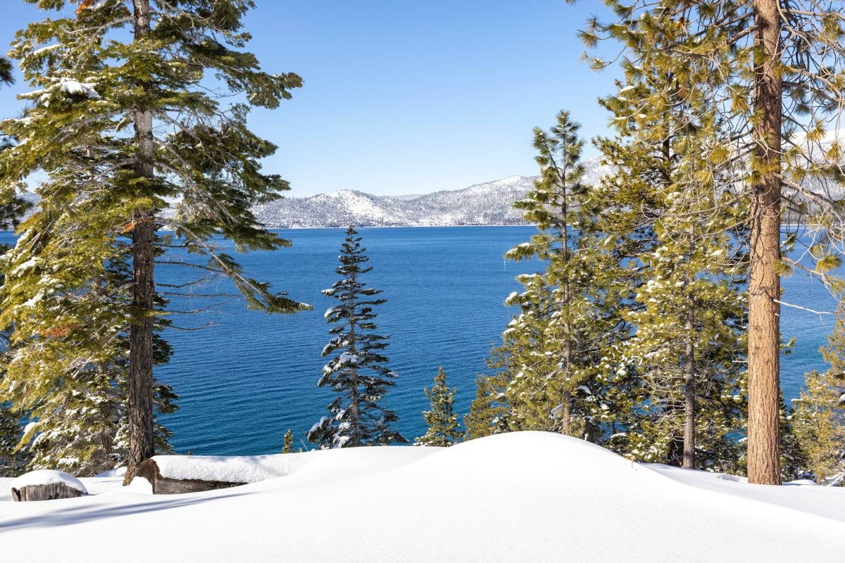 a view of a lake surrounded by trees and snow