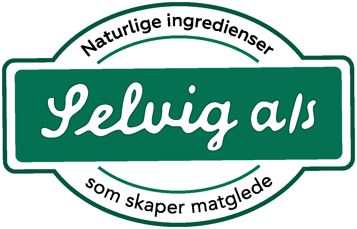 Logo_Selvig AS_2023_ny.png