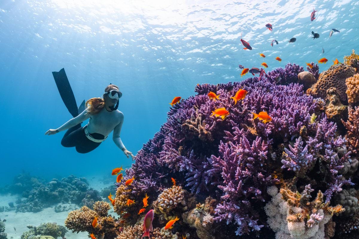 a woman scubas over a colorful coral reef