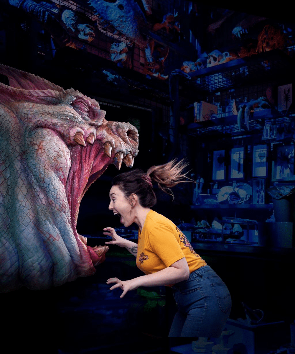 Horror experience