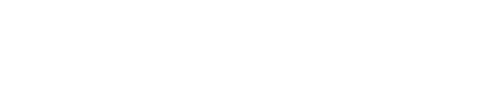 risk-pilot-logotyp-liggande-vit-rgb-22.png