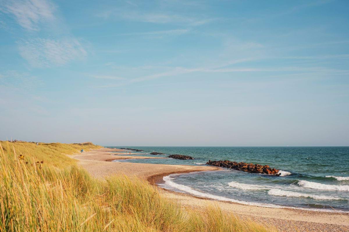 A sandy beach next to the ocean under a blue sky