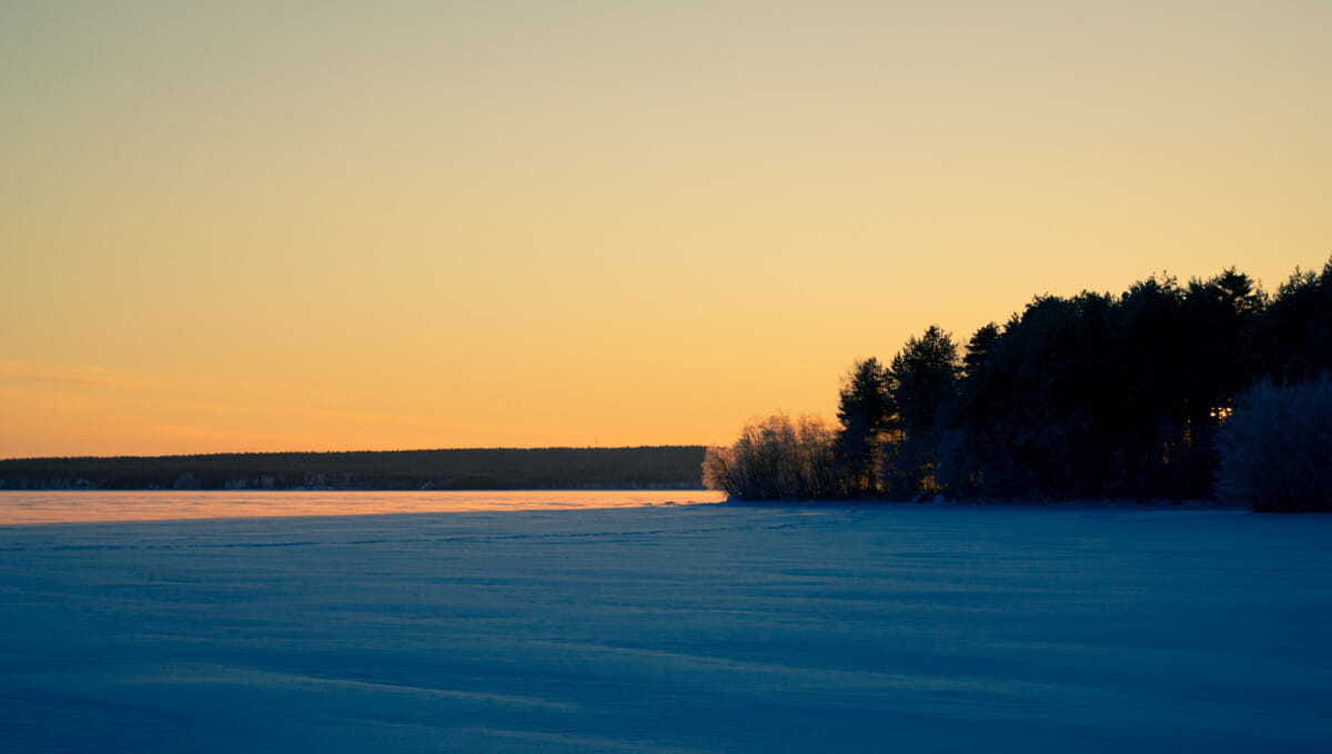 green trees on snow covered ground during daytime