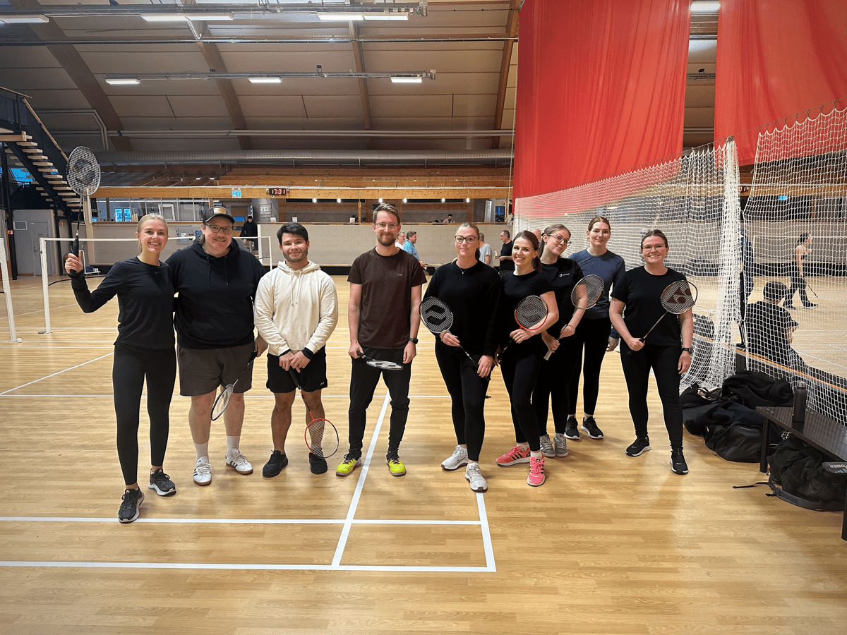 Badminton bild