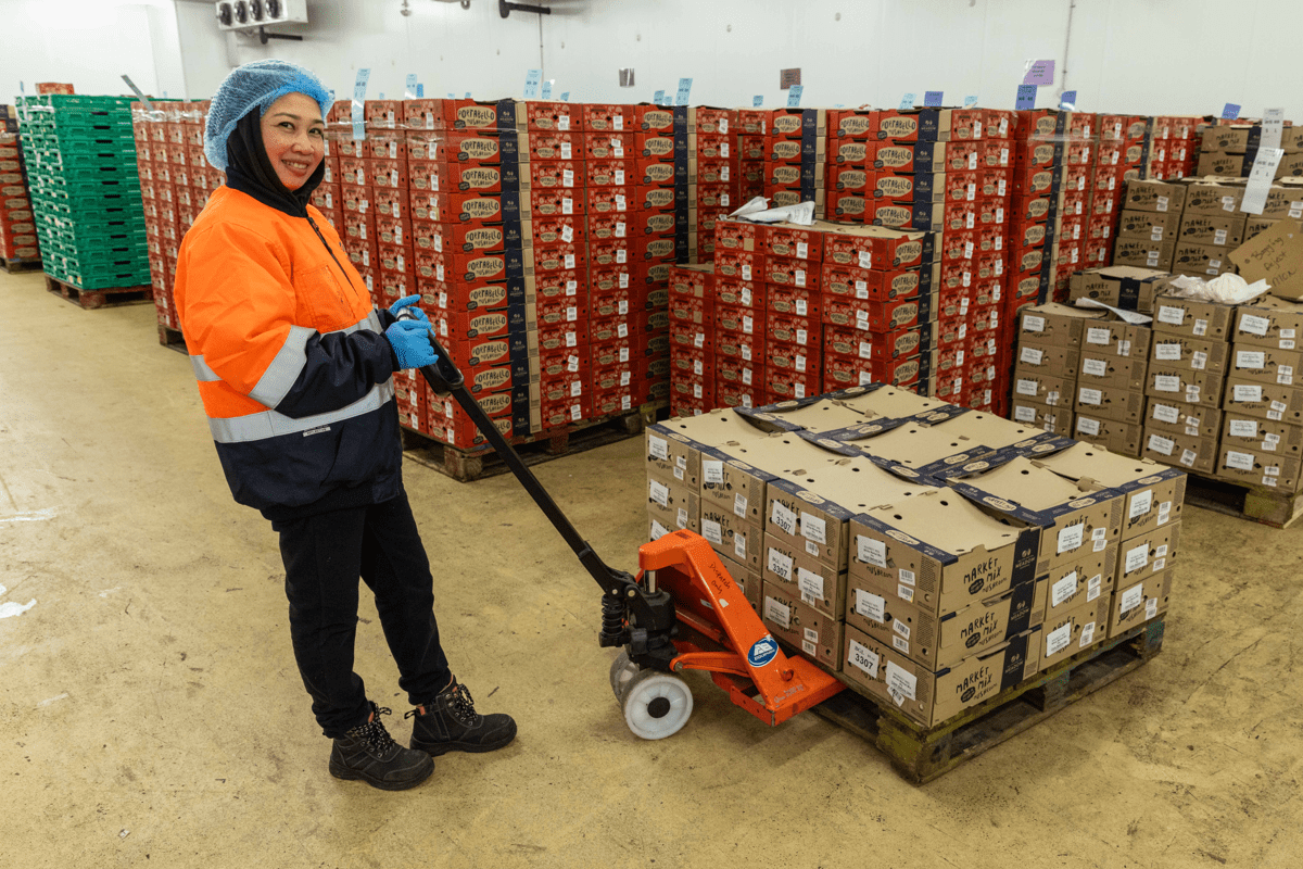 Packing Meadow Mushrooms