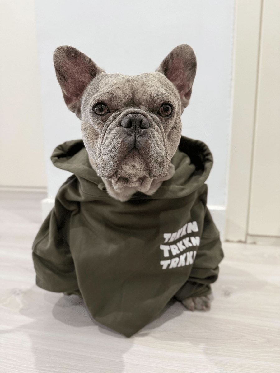 AI generated picture of a dog with a hoodie on