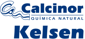 Kelsen-logo-300x139.png