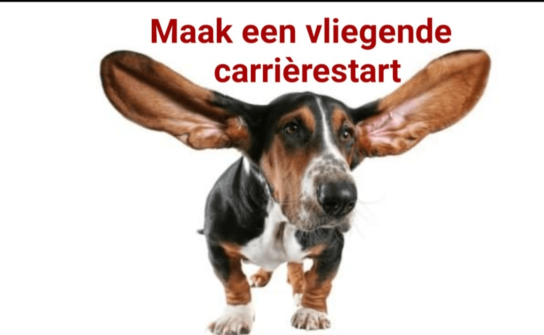 Vliegende carrierestart.jpg