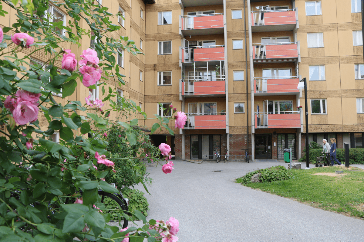 Bovärd