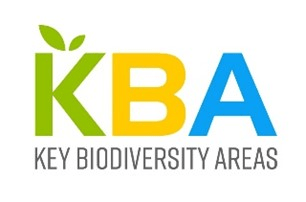 KBA logo.jpg