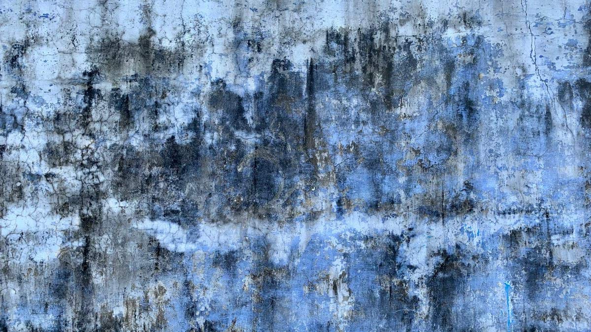 a window covered in snow