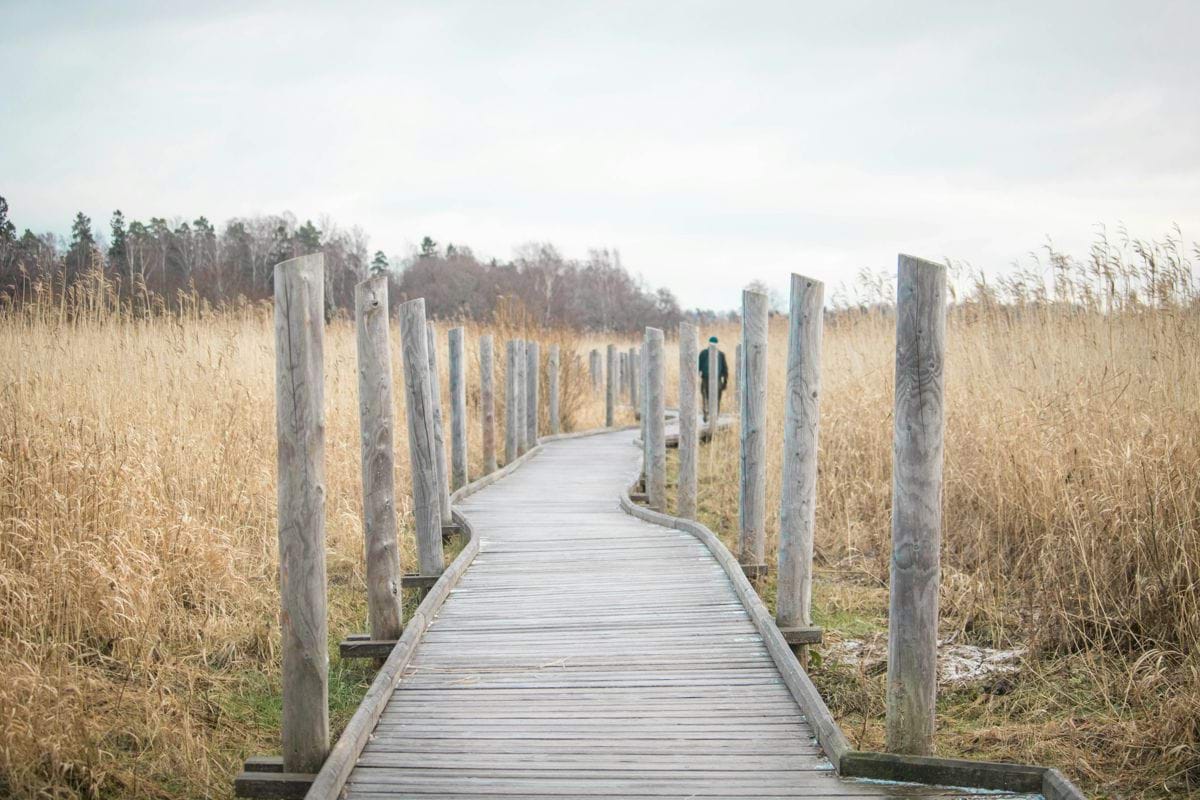 brown wooden bridge over brown grass field during daytime